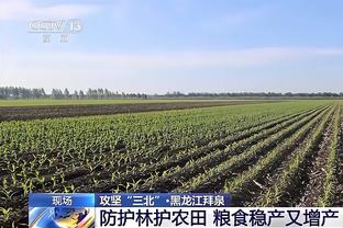 杜锋谈末节险被逆转：年轻球队没有资本去放松